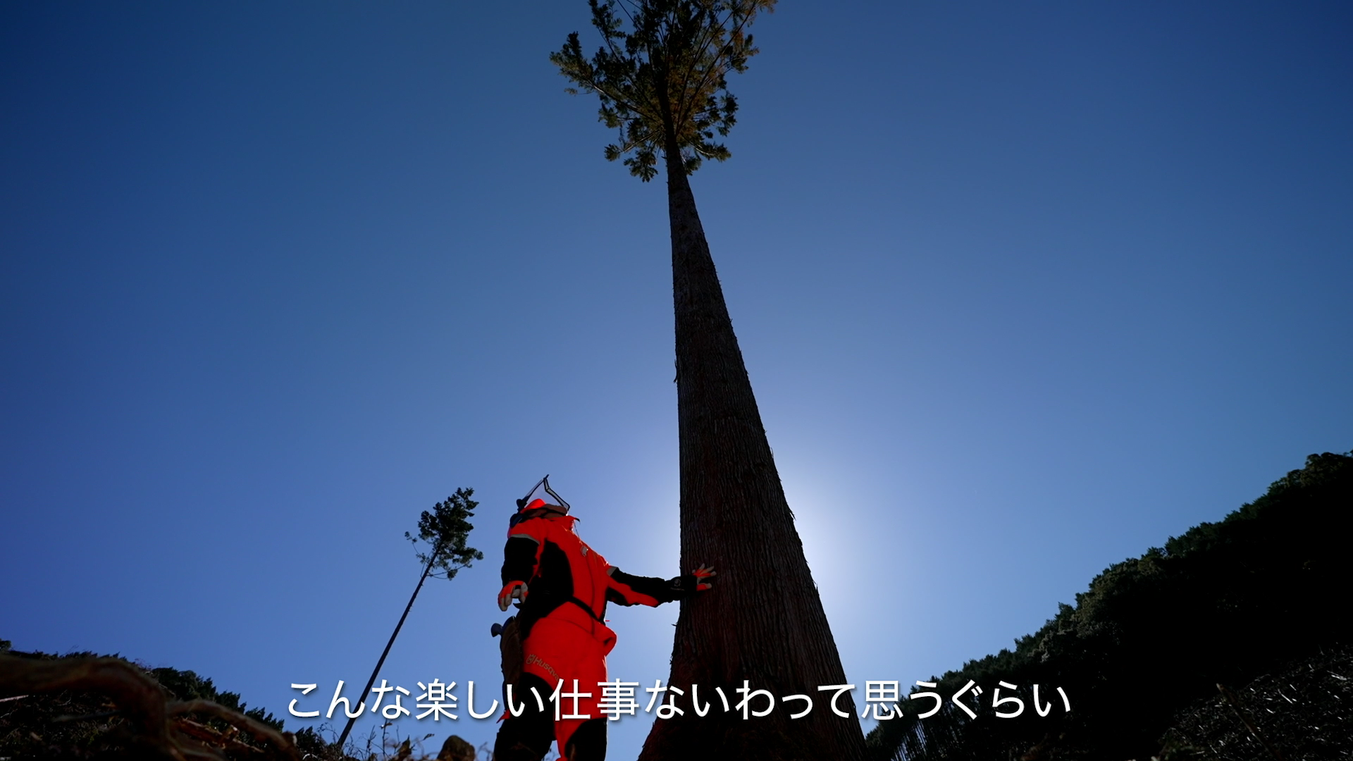 THE VOICE OF A Forest Worker「女性もかがやく林業篇」「移住ではじめる林業篇」