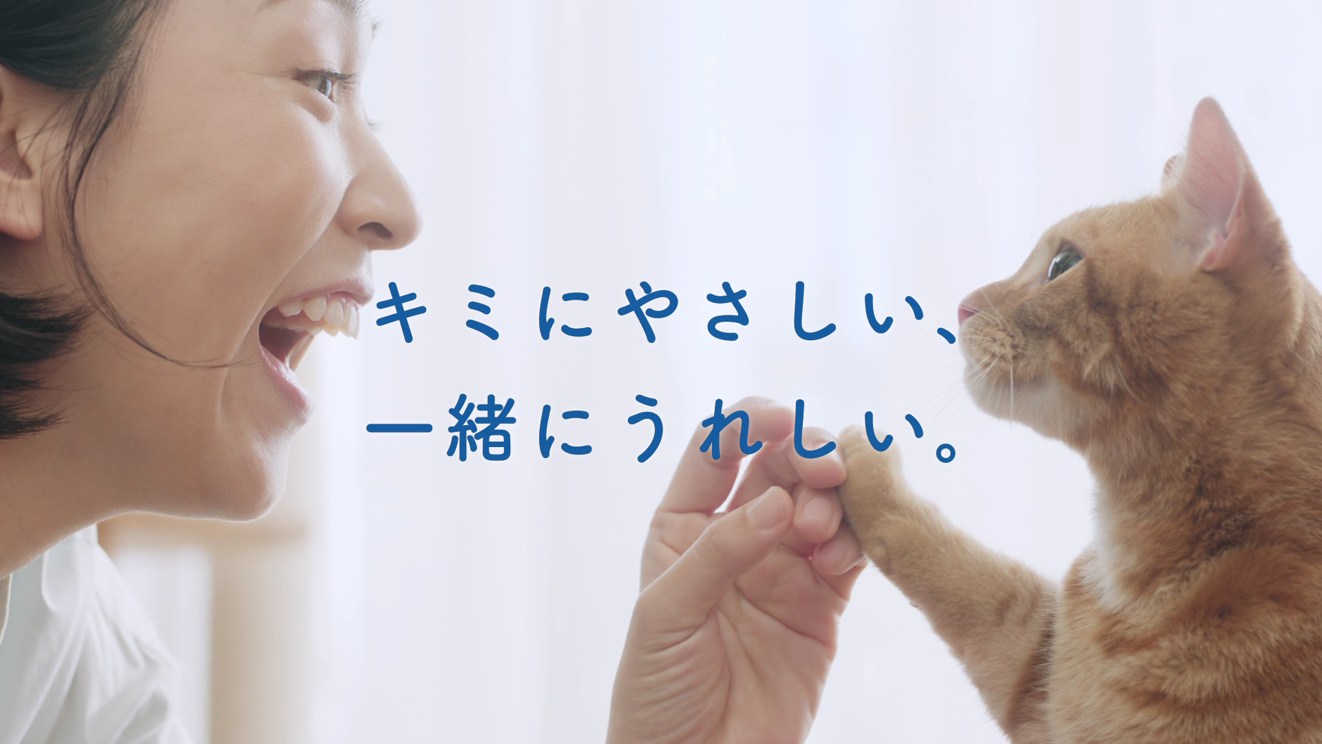 エリエールPet キミおもい「たくさんキミを篇」